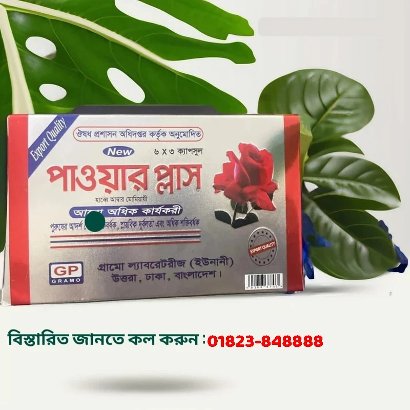 Power Plus